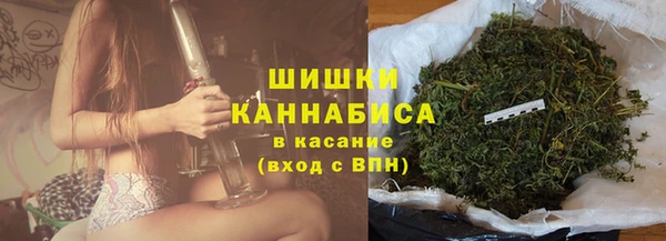 стафф Бородино