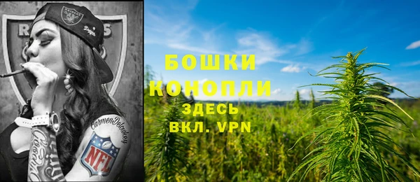 стафф Богородск