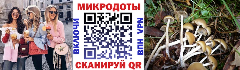 Галлюциногенные грибы GOLDEN TEACHER  Купить где  Белая Калитва 
