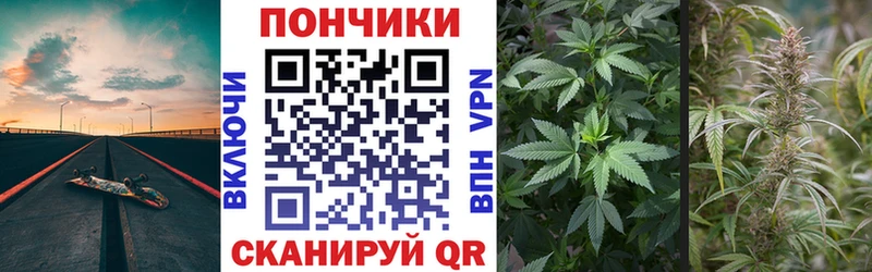 Купить где Белая Калитва Бошки Шишки планчик